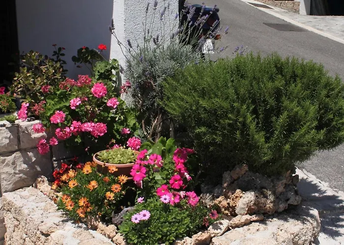 Apartamento With A Parking Space Brela, Makarska - 6747 *
